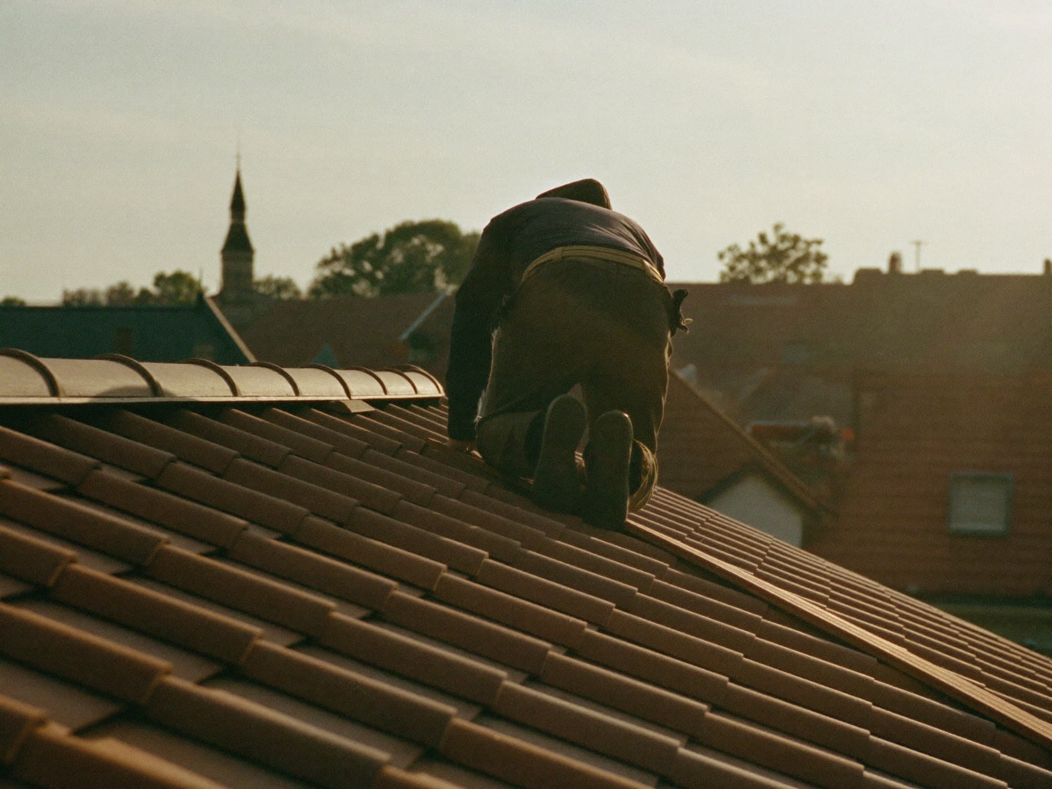 Dachdecker im goldenen Abendlicht